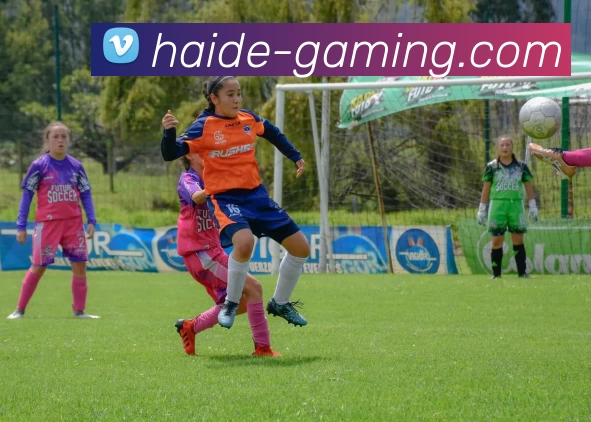 海德电竞游戏平台生态图